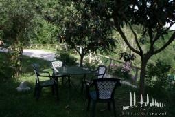 Galeriebild
